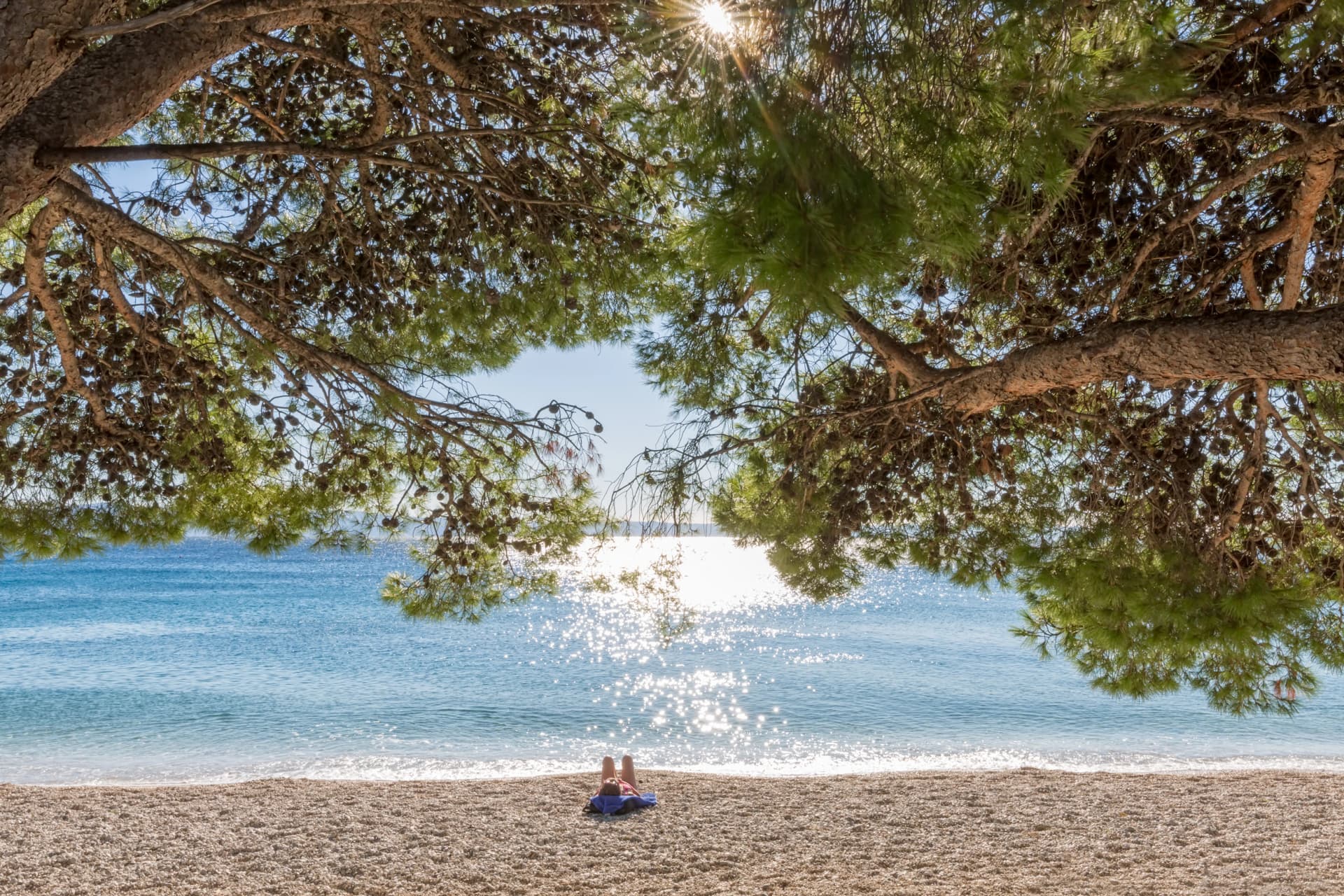 Sunbathing under the pine tree