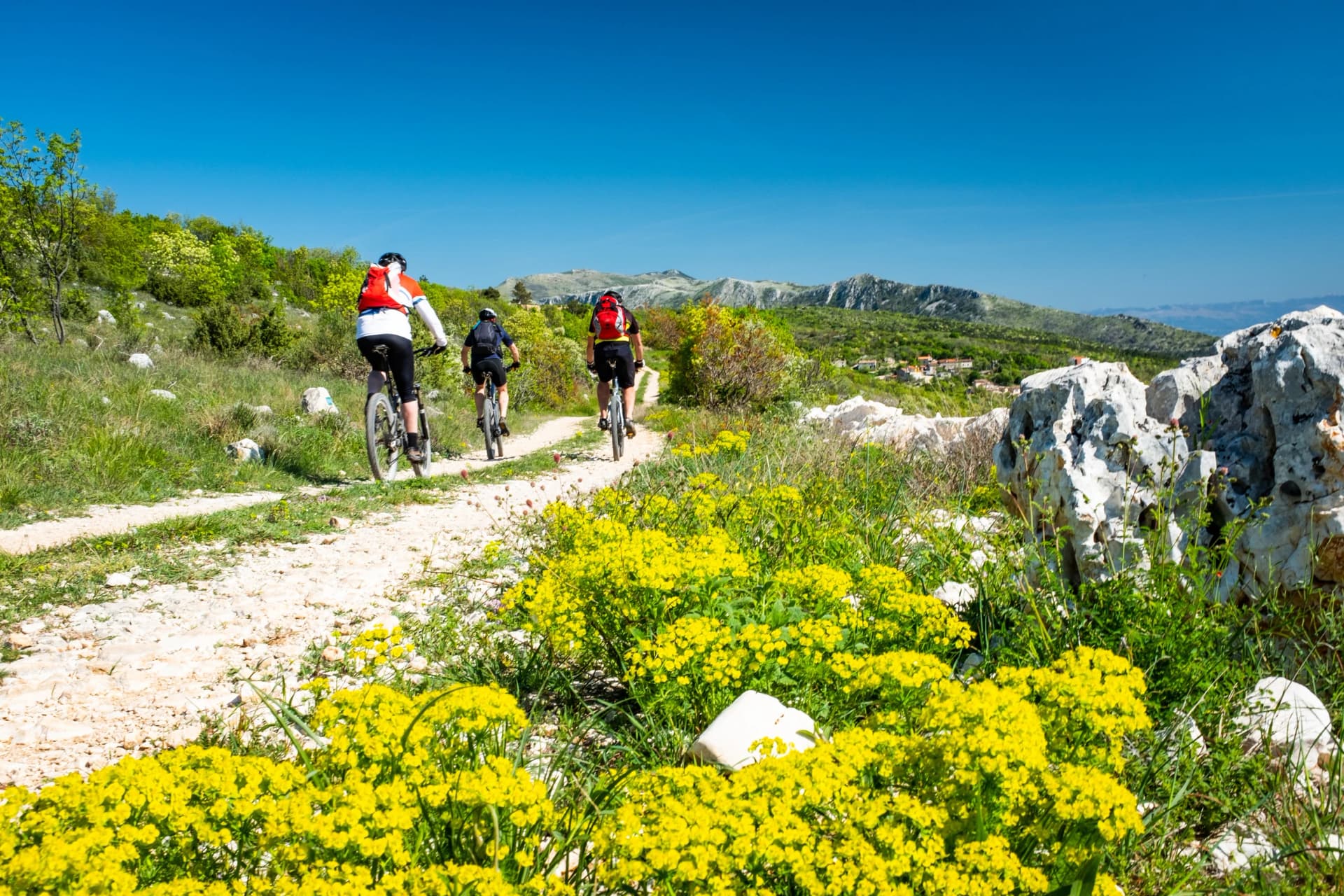 Mountain biker driving in Istria to mountain Sisol, Ucka Park