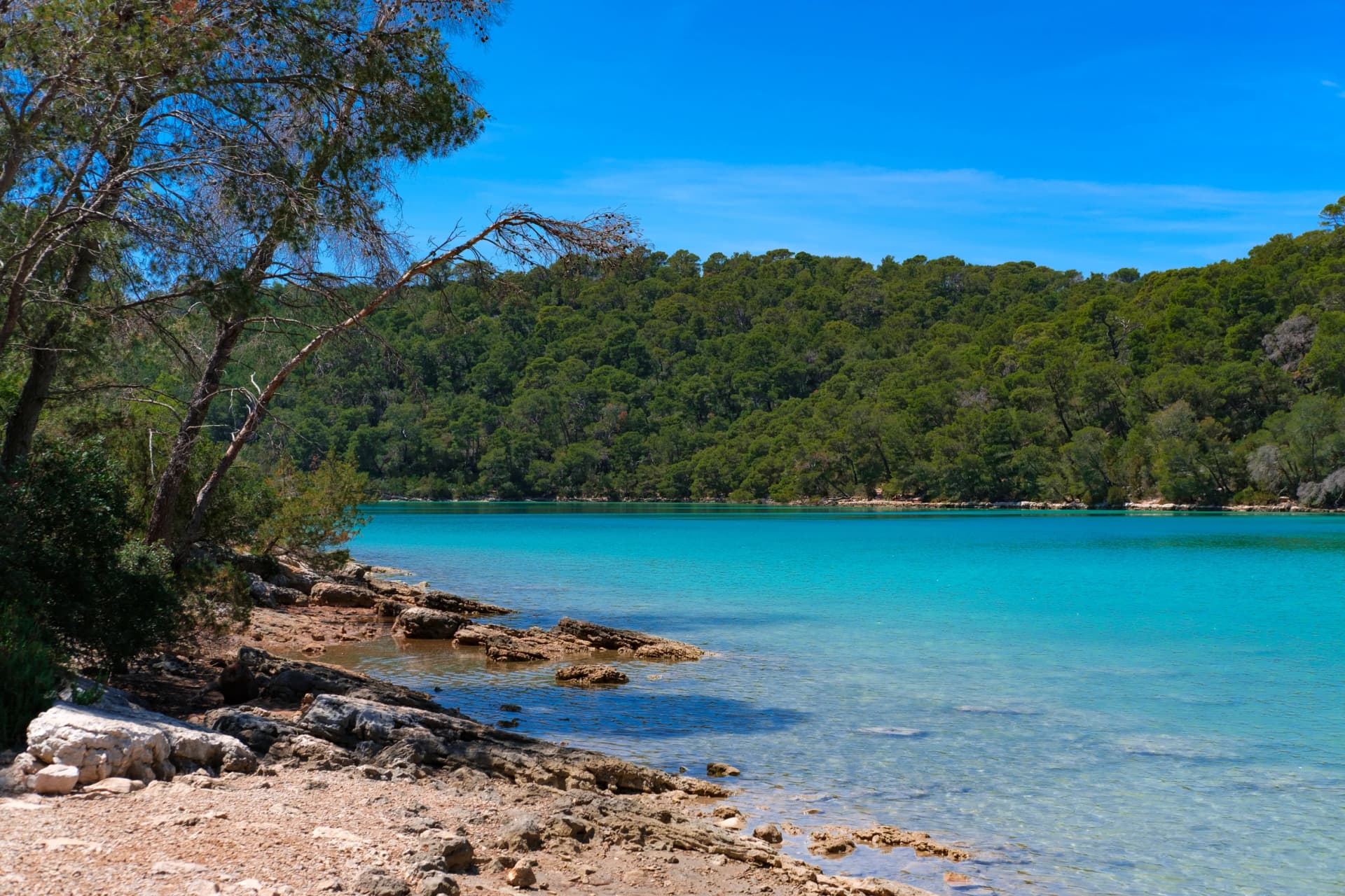 small lake in the forest, natural amazing Mljet island national park, Malo Jezero