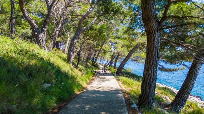 Aerial view of Camping Čikat on Lošinj (Losinj) island, surrounded by a beautiful pine forest and the Adriatic Sea. Known for XTERRA races, biking trails, and crystal-clear coastline views