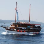 Cruising with nikola