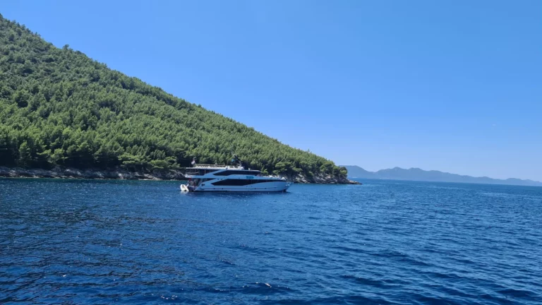 Interior seagull vessel