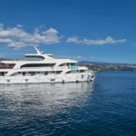 Mondlicht adriatisches Meer