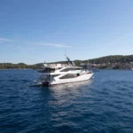 Zeemeeuw in Kroatië