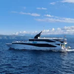 Zeemeeuw zeilen in Kroatië