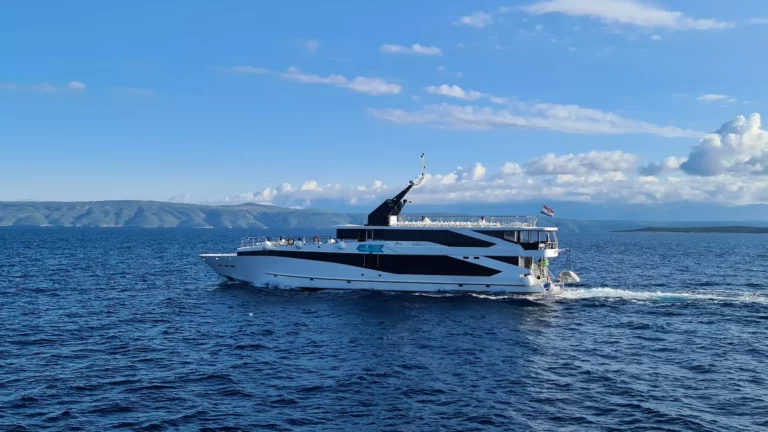 Seagull sailing in croatia