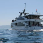 Zeemeeuw zonnige dag