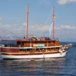 Sunny day nikola ship