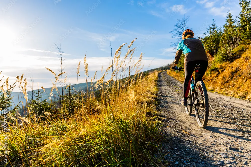 Mountain biking woman riding on bike in summer mountains forest landscape. Woman cycling MTB flow trail track. Outdoor sport activity.