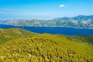 Pedal through Korčula's lush pine forests