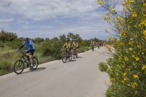 Average 25km daily rides on the most scenic roads